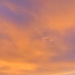 Meet your Posher, Adrian